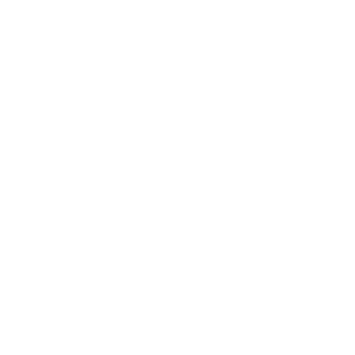 chef (1)